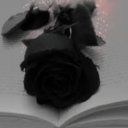 enchantedblackrose avatar