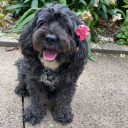 enchantedbones avatar