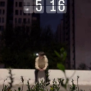 enchanteddiaries avatar