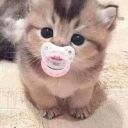 enchantedlov3r avatar