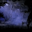 enchantedmoneyshroomz avatar