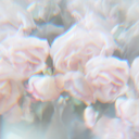 enchantedpetal avatar