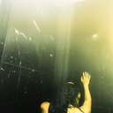 enchantedpineseed avatar