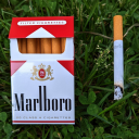 enchantedteal2 avatar