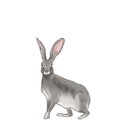 enchantingchildtale avatar