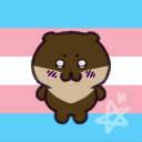 enchantingpirateruins avatar