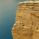 endangeredcds avatar