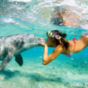 enddless-summer avatar