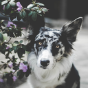 endeavorsofego-blog avatar