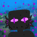 enderfins avatar