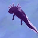 enderlotl avatar