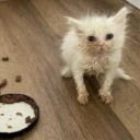 endiefriendie avatar