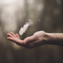 endless-8-inspiration avatar