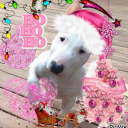 endless-carousel avatar