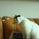 endless-monologues avatar