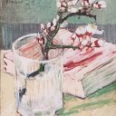 endless-natterings avatar