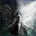 endless-obsessions avatar