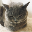 endless-sky93 avatar