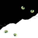 endlessfuckup avatar