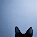 endlesslove-e avatar