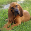 endlesslxckscreens avatar