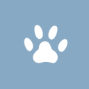 endlessly-curious avatar