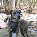 endlesslypondering avatar