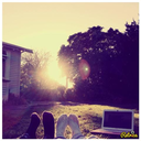 endlesssummerx0x avatar