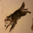 endofthedustytrail avatar