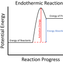 endothermic-archer avatar