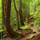 enduhgomadness avatar