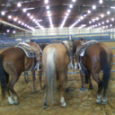 enduringtiltheend avatar