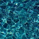 enelaguareylo avatar