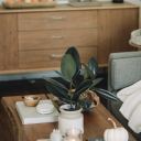 enelvinohayverdad avatar