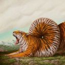 energiechaotique avatar