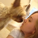 energizerbunny44 avatar