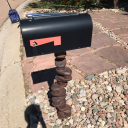 enginecrankmailbox avatar