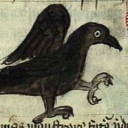 engineerpoelzig avatar