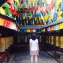 englishboys-withbanjos avatar