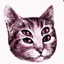 enid-is-a-cat avatar