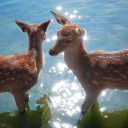 enigma-2000-1 avatar