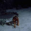 enigmaspoetry avatar