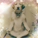 enigmaticexpressions avatar