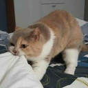 enigmaticpuzzle avatar