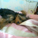 enjoy-it-while-it-lasts avatar