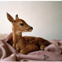 enjoy1your1life avatar