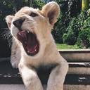 enjoymentdesirepleasure avatar