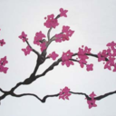 enlighten-yourself avatar