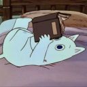 ennysbookstorereblogs avatar