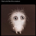 enormously-insignificant avatar